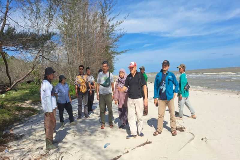 Kalimantan Tengah Tanam Vegetasi Pantai untuk Mitigasi dan Cegah Abrasi